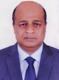 অধ্যাপক ডাঃ মোঃ সাইফুল হক