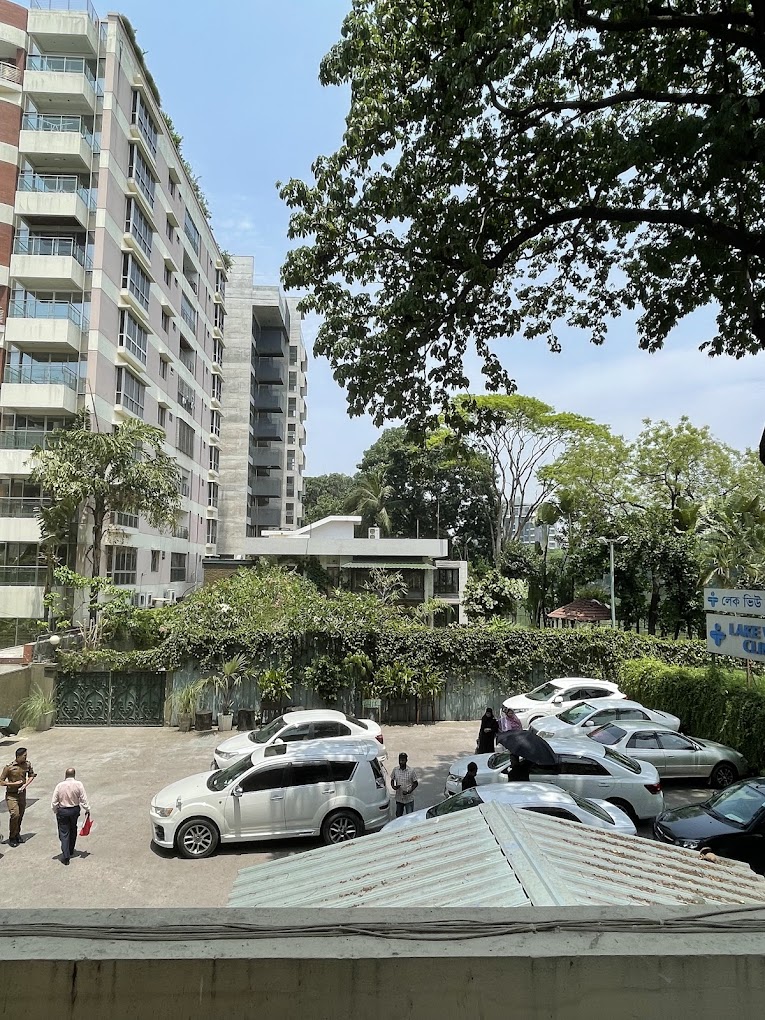 লেক ভিউ ক্লিনিক