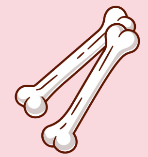 Bone